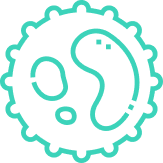 ¿Qué es la leucemia mieloide aguda (LMA)?