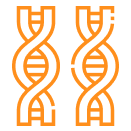 Factores de riesgo de la LMA