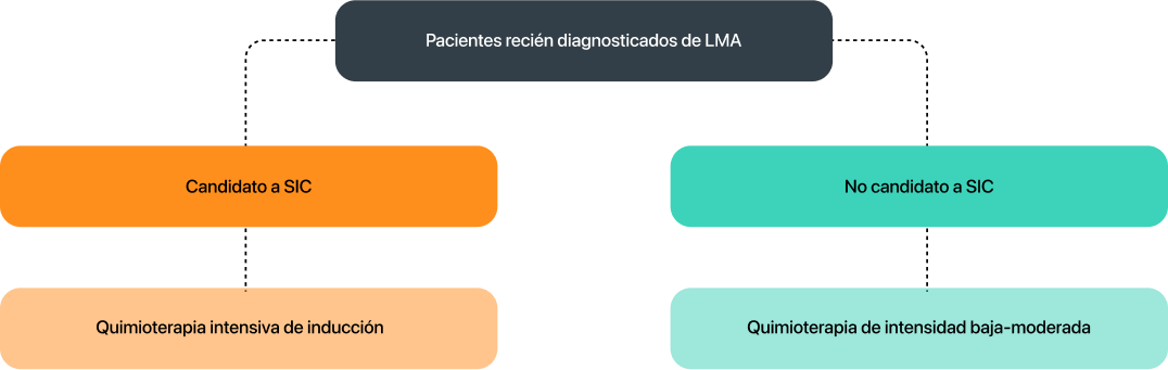 Opciones de tratamiento para pacientes de LMA no aptos para SIC